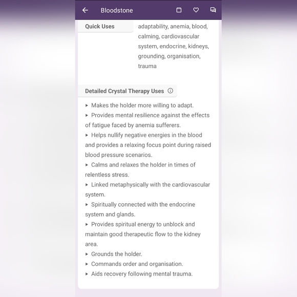 8mm African Bloodstone Bracelet - Picture 5 of 5